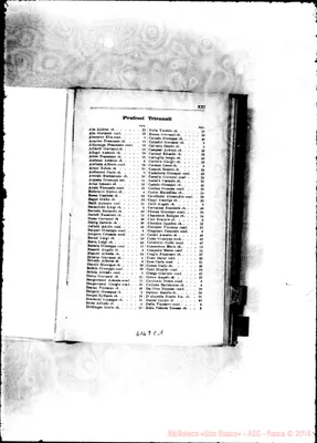 Fotogramma C 1
