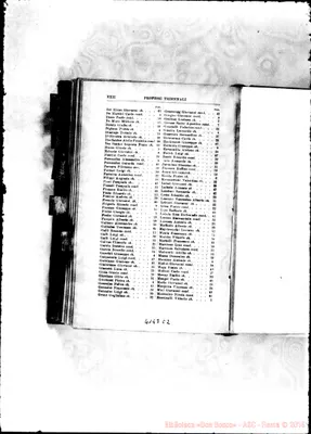 Fotogramma C 2