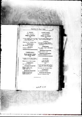 Fotogramma C 12