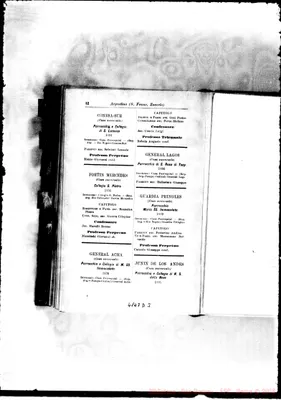 Fotogramma D 3