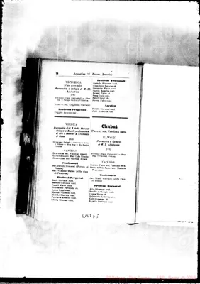 Fotogramma D 5
