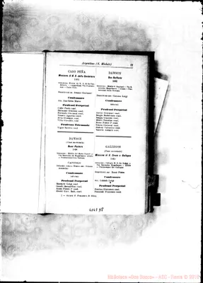 Fotogramma D 8