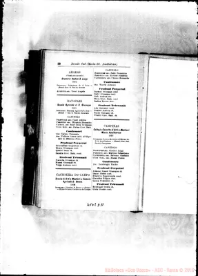 Fotogramma D 11
