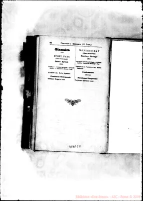 Fotogramma C 5