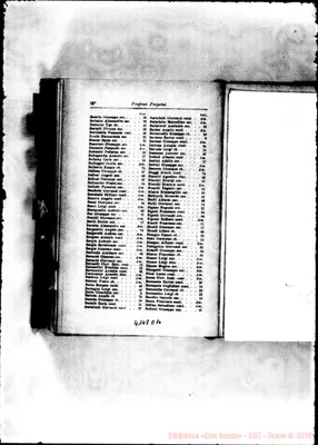 Fotogramma D 10