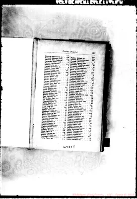 Fotogramma E 5