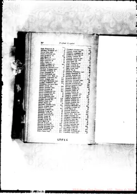 Fotogramma E 6