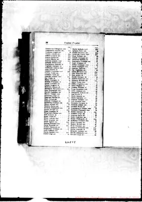 Fotogramma E 8