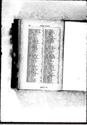 Fotogramma E 12