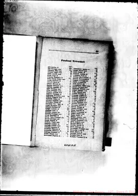 Fotogramma A 11