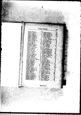 Fotogramma B 1