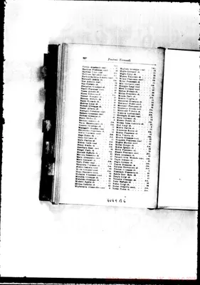 Fotogramma B 6