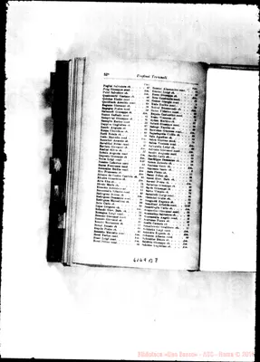 Fotogramma B 8
