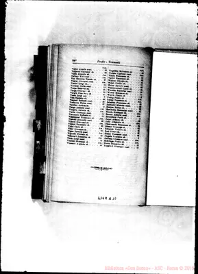 Fotogramma B 10