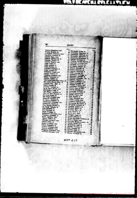 Fotogramma B 12