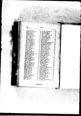 Fotogramma C 2