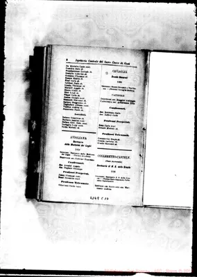 Fotogramma C 10