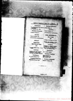 Fotogramma D 9