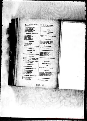 Fotogramma D 12