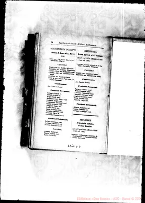 Fotogramma D 4