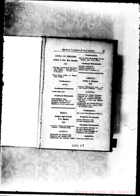 Fotogramma D 9