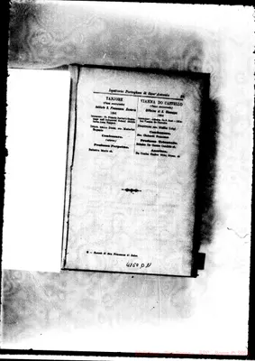 Fotogramma D 11
