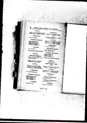 Fotogramma E 2