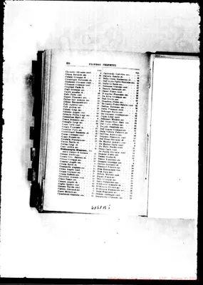 Fotogramma B 5