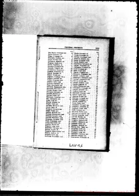 Fotogramma B 6