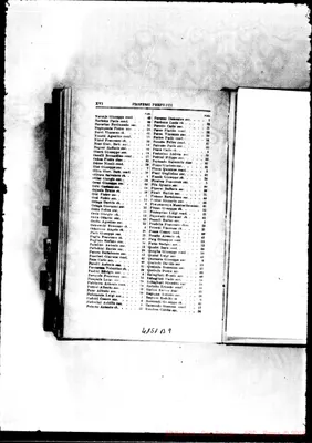 Fotogramma B 9