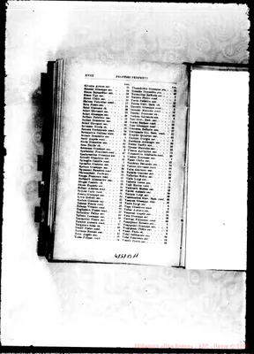 Fotogramma B 11