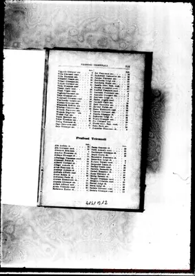 Fotogramma B 12