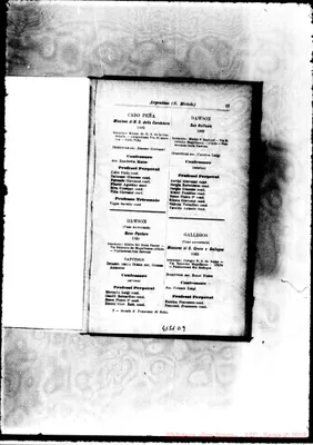 Fotogramma D 9