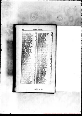 Fotogramma D 10