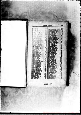 Fotogramma D 11