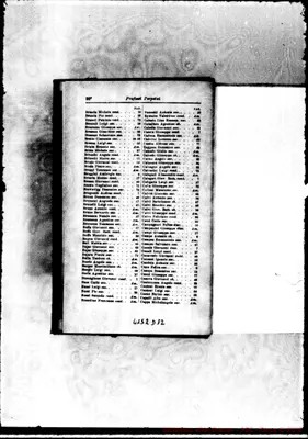 Fotogramma D 12