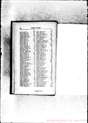 Fotogramma E 2