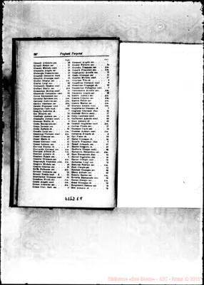 Fotogramma E 8