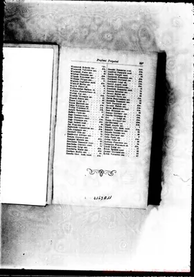 Fotogramma A 11