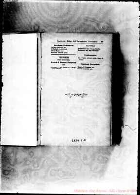 Fotogramma C 11