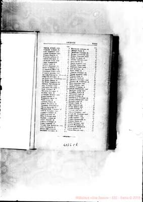 Fotogramma C 5
