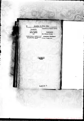 Fotogramma D 3