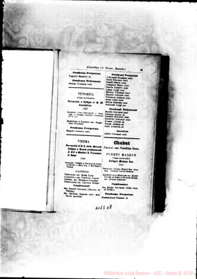 Fotogramma D 8