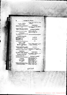 Fotogramma D 11