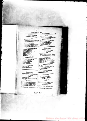 Fotogramma C 6