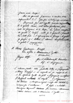 Fotogramma E 5