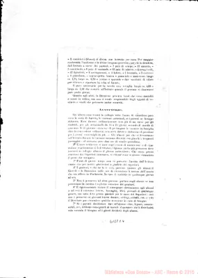Fotogramma E 4