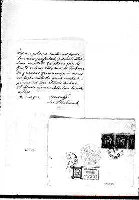 Fotogramma D 6