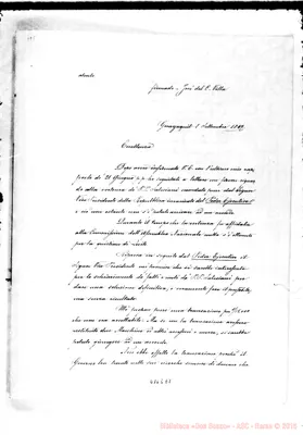 Fotogramma E 7