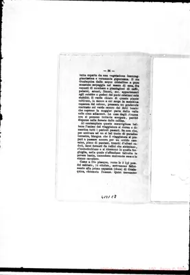 Fotogramma C 8